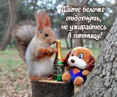 Алкопост на вечер этой пятницы