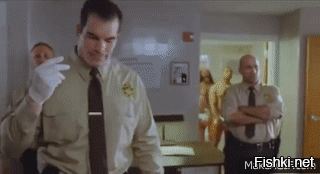 35 смешных моментов со свадеб, которые сделали праздник только лучше