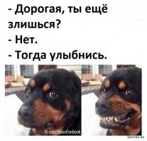 Смешные и познавательные картинки