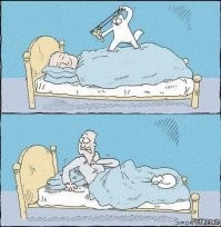 Смешные и познавательные картинки