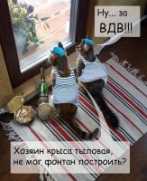 Калейдоскоп летнего позитива в картинках