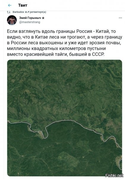 я один вижу по сути сплошное зеленое пятно, которое размежевали белой линией ?