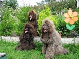 Чёт навеяло....