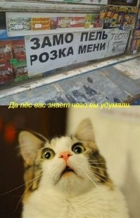 Смешные вывески и надписи