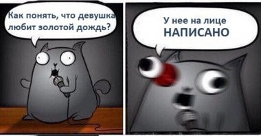 Тролль-провокатор из мира собак