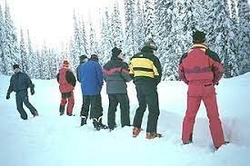 струйных много, качественных мало.