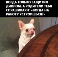 Вечно актуальный и улыбательный пост о родственниках