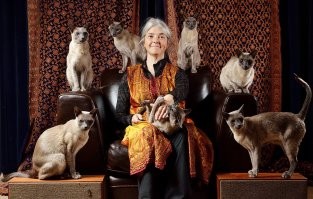 А потом в 50 лет сижу и смотрю.....