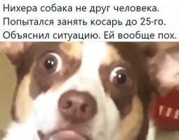 Нефига не пох, у нее у самой денег нет