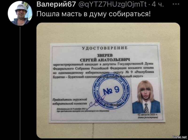 О политике и не только