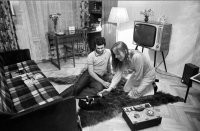 Котики всегда были в цене.