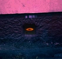 Смешные и познавательные картинки