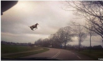 Автомобильный юмор в картинках