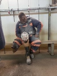 - Бедняги, как мне их жаль.....