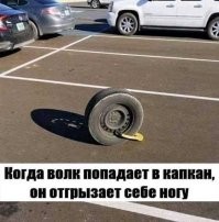 У волков - лапы.