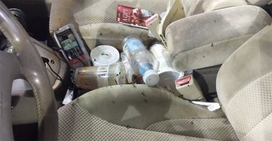 "Это тараканы. Машину пора сжигать!"
Вместе с хозяином...