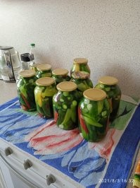 Я уже сезон открыла.