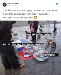 Жаль котяток