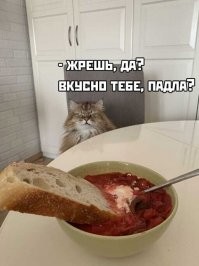 Судя по моське он тоже не голодает