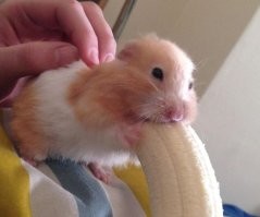 Смешные комментарии из соц.сетей