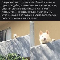 Смешные и познавательные картинки