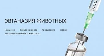 Эвтаназия (от греч. εὖ   хорошо + θάνᾰτος   смерть)   по русски "легкая смерть". Где тут только про человека.