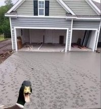 Смешные и познавательные картинки