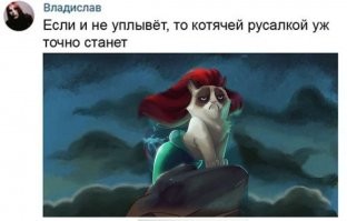 Скрины из соцсетей