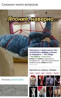 20 снимков, которые не оставляют логике ни единого шанса