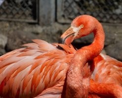 В 2014-м снимал...