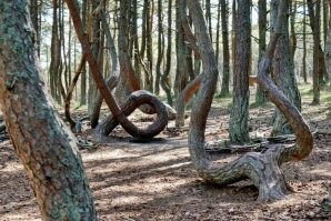 Смешные комментарии из соц.сетей