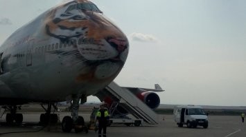 с "тигром" знаком лично