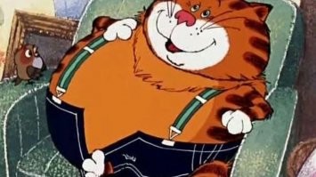 Забавная схватка с упитанным котом