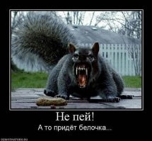 НАМИ-А50 «Белка»: микролитражный прототип родом из СССР