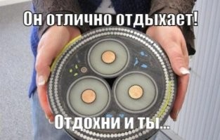 Пёсик, который умеет отдыхать