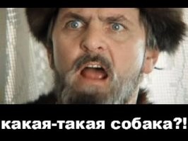 В заголовке было слово "собака"?