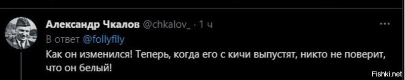 Безумная политота ( Дневной выпуск №6)
