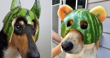 В рейсовом автобусе Казани заметили красавицу в сфере из арбуза на голове