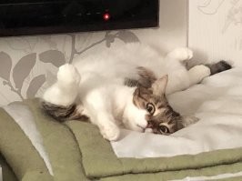 Моя жаба так зависла минут на 20