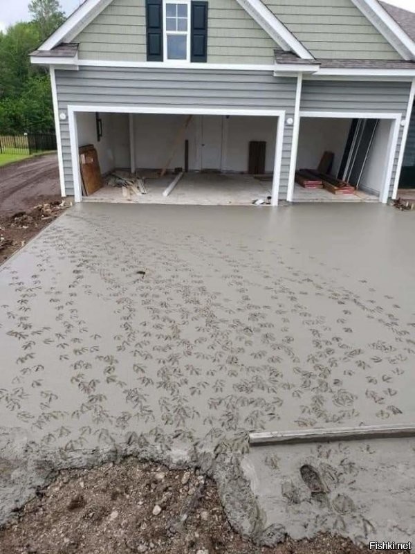 Не попахивает, а несет за версту: "Бригада заливала бетон у нового дом рядом с утиным прудом. Они пошли на обед, вернулись и увидели это"