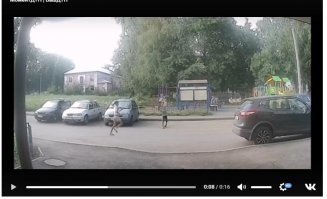 Вы посмотрите что вытворяет этот мелкий 3.14здюк!  А случись чего -  виноват водитель?