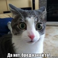 25 случаев на свадьбах, после которых стало очевидно, что брак обречен