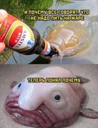 Интересно, а когда рыбы понимают, что пить хорош???