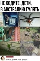 Т.е. на других ничего не смущает?