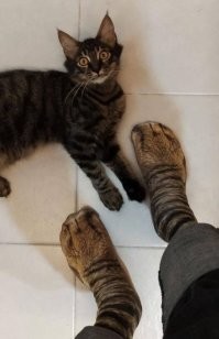 Смешные и познавательные картинки