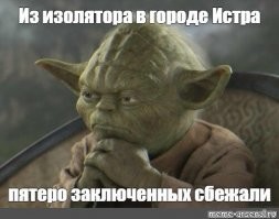 В Подмосковье сбежали пятеро заключённых: один из них обвиняется в громком убийстве