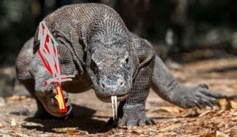 Че не так, на?!))))