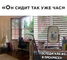 На этой картинке пес не может видеть себя - закон физики "Угол падения равен углу отражения". Если мы видим в зеркале пса (в красном круге), значит он видит нас а не себя. Да, я зануда )