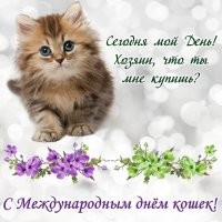 Сегодня,8 августа - всемирный день кошки !