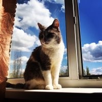 Мой красавец)